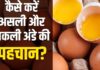 Fake Egg Test: 6 आसान तरीकों की मदद से करे असली और नकली अंडे की पहचान Fake Egg Test: असली और नकली अंडे की करनी है पहचान, इन आसान तरीकों की लें मदद